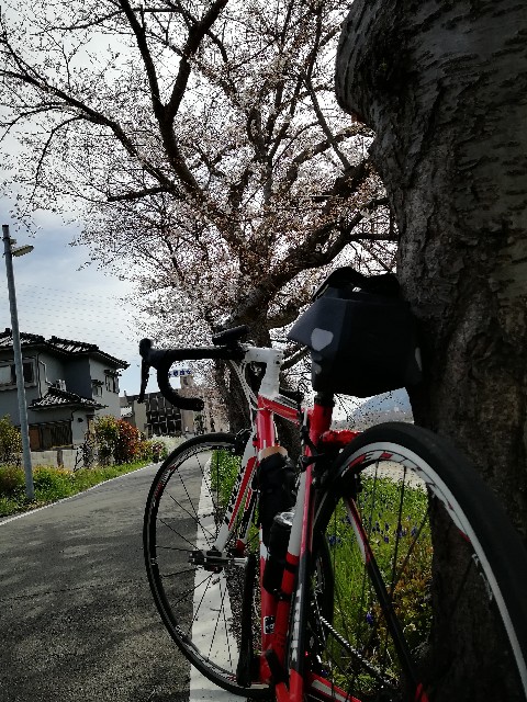 f:id:mumuhiromu:20210327192135j:image
