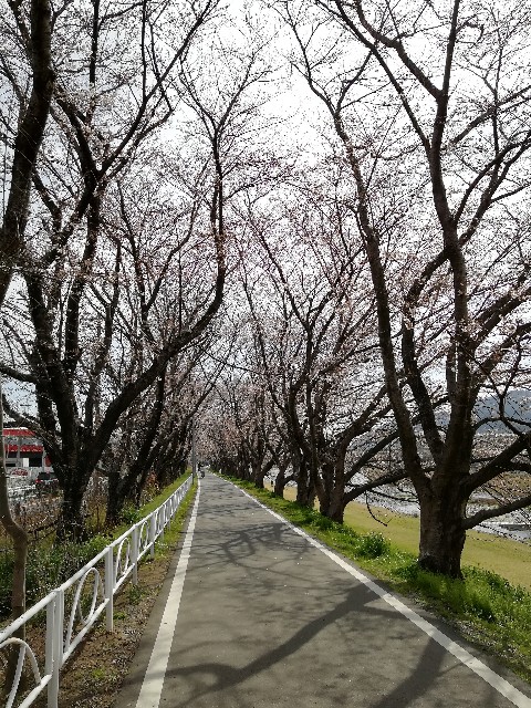 f:id:mumuhiromu:20210327192219j:image
