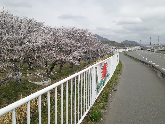 f:id:mumuhiromu:20210403211011j:image