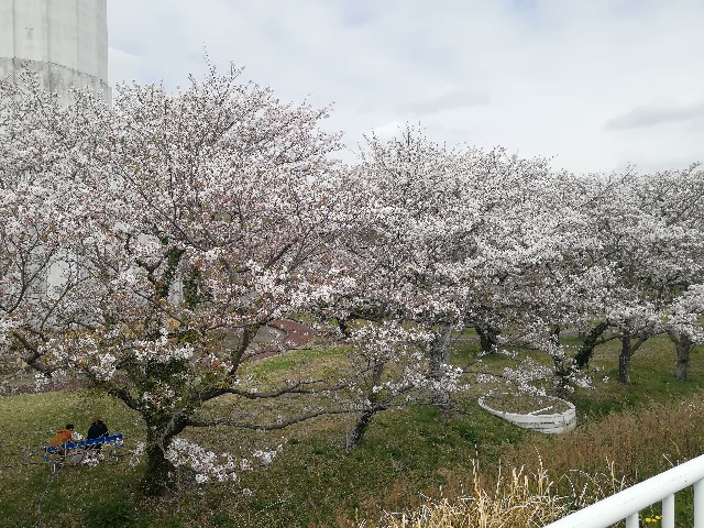 f:id:mumuhiromu:20210403211052j:image