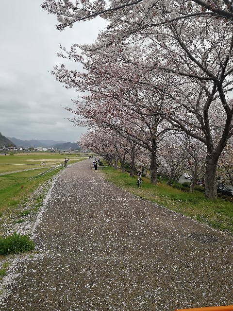 f:id:mumuhiromu:20210403211259j:image