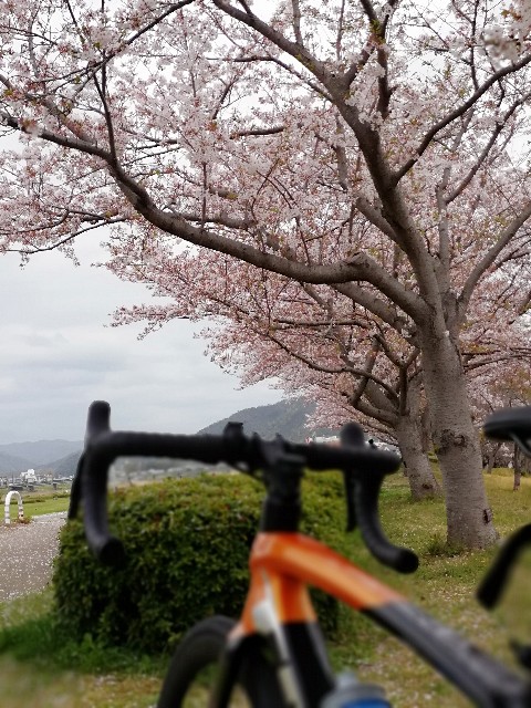 f:id:mumuhiromu:20210403211934j:image