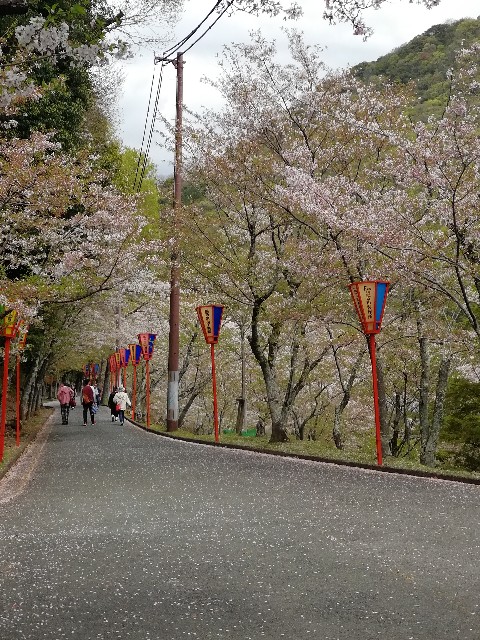 f:id:mumuhiromu:20210403215527j:image