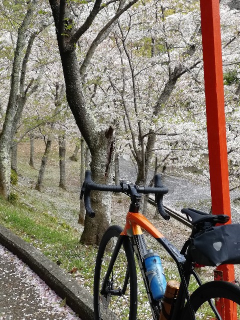 f:id:mumuhiromu:20210403215616j:image
