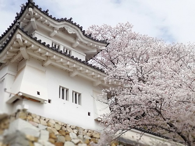 f:id:mumuhiromu:20210403215754j:image