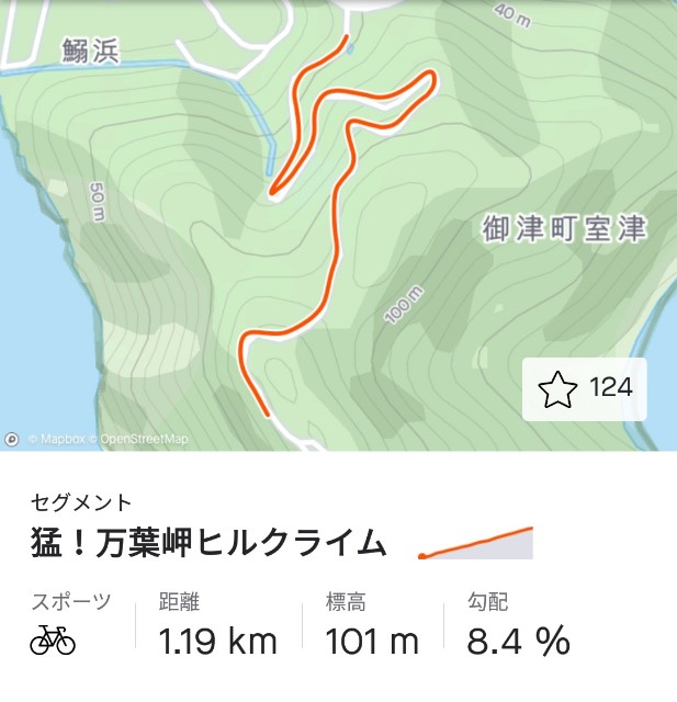 f:id:mumuhiromu:20210418171408j:image