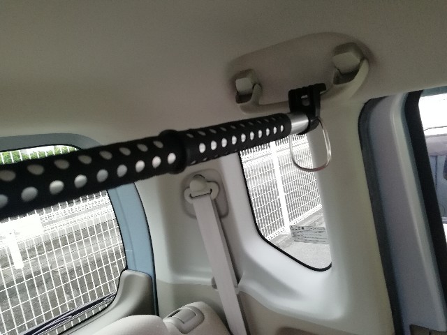 f:id:mumuhiromu:20210612084852j:image