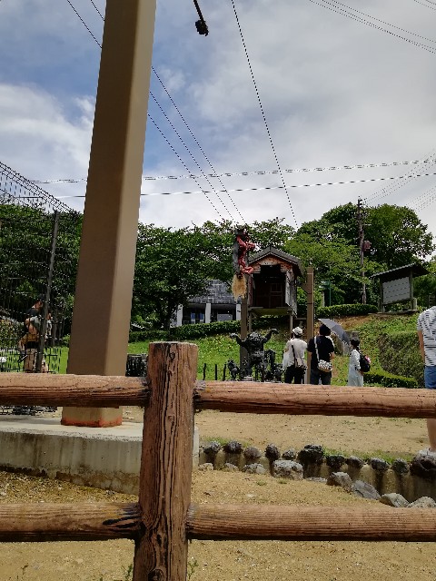 f:id:mumuhiromu:20210626204220j:image