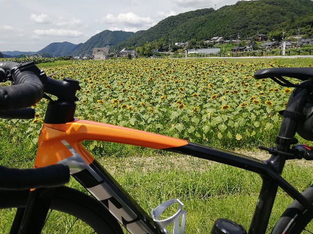 f:id:mumuhiromu:20210724221946j:image