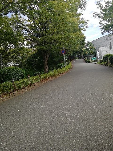 f:id:mumuhiromu:20210905154126j:image