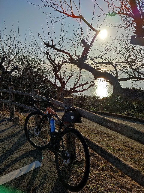 f:id:mumuhiromu:20220123121941j:image