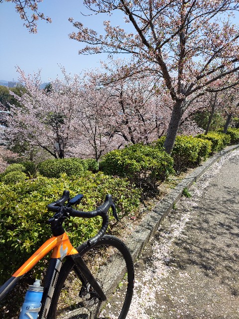 f:id:mumuhiromu:20220409202047j:image