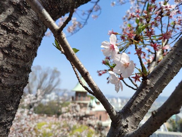 f:id:mumuhiromu:20220409202128j:image