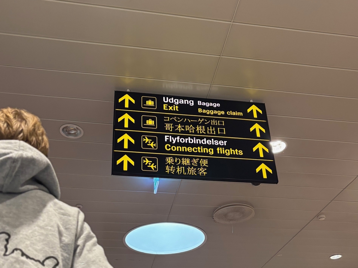 デンマーク カストラップ空港