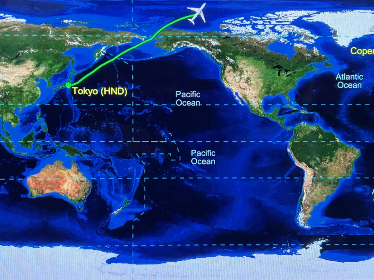 羽田空港 SAS コペンハーゲン