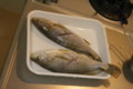 [食事]イシモチ下ごしらえ