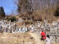 20120320115652