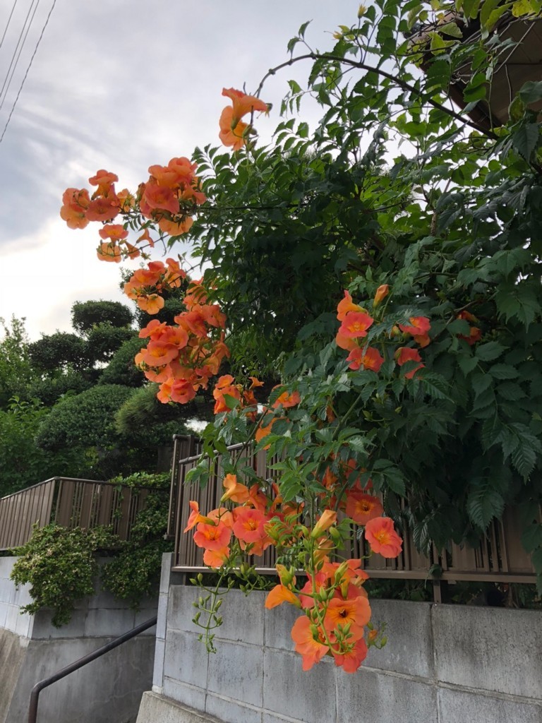 f:id:munakata_kenken:20180712161820j:plain