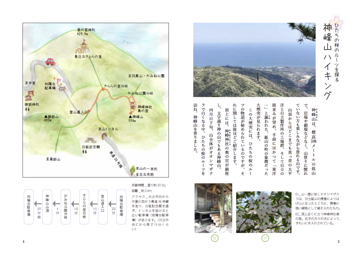 f:id:munakata_kenken:20200524224856p:plain