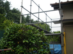 f:id:munakatapower:20090603121841j:image