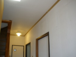 f:id:munakatapower:20090611094320j:image