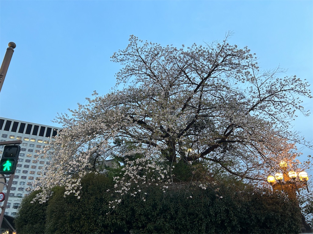 f:id:munakatayoko:20250416170556j:image