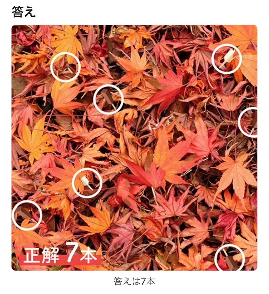 f:id:munakawamira:20221104210503j:image f:id:munakawamira:20221104210503j:image