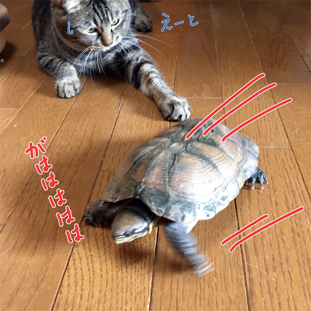 f:id:munazouchan48:20170610112451j:image