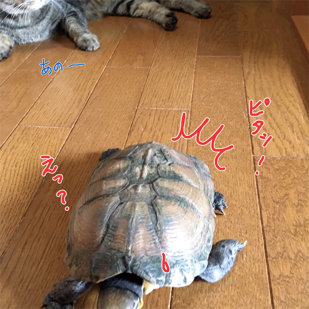 f:id:munazouchan48:20170610112527j:image