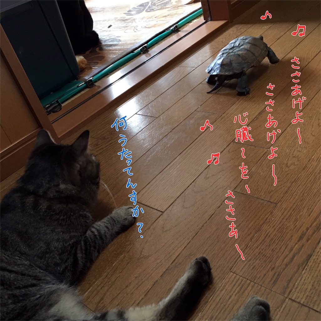 f:id:munazouchan48:20170610112633j:image