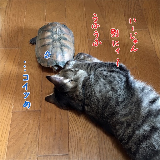 f:id:munazouchan48:20170611115514j:image