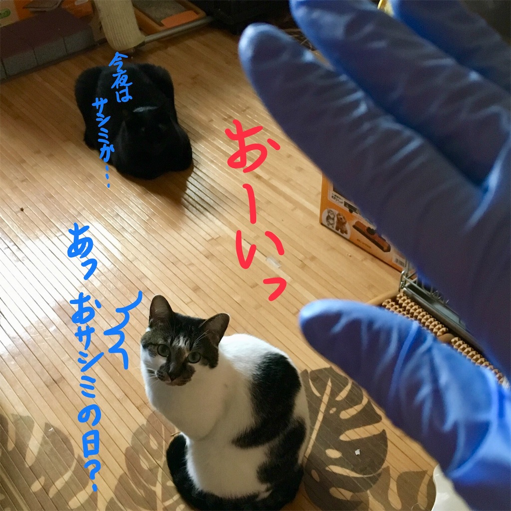 f:id:munazouchan48:20171008111647j:image