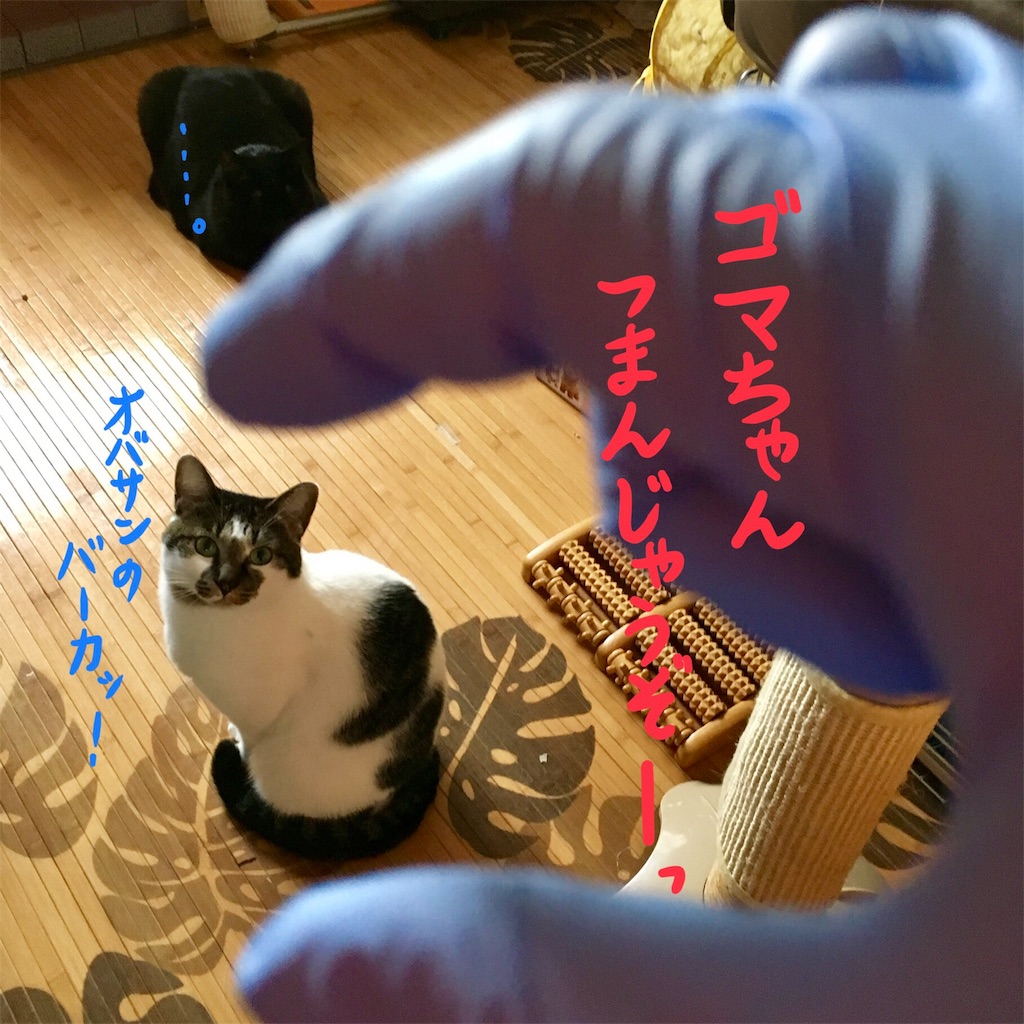 f:id:munazouchan48:20171008111711j:image