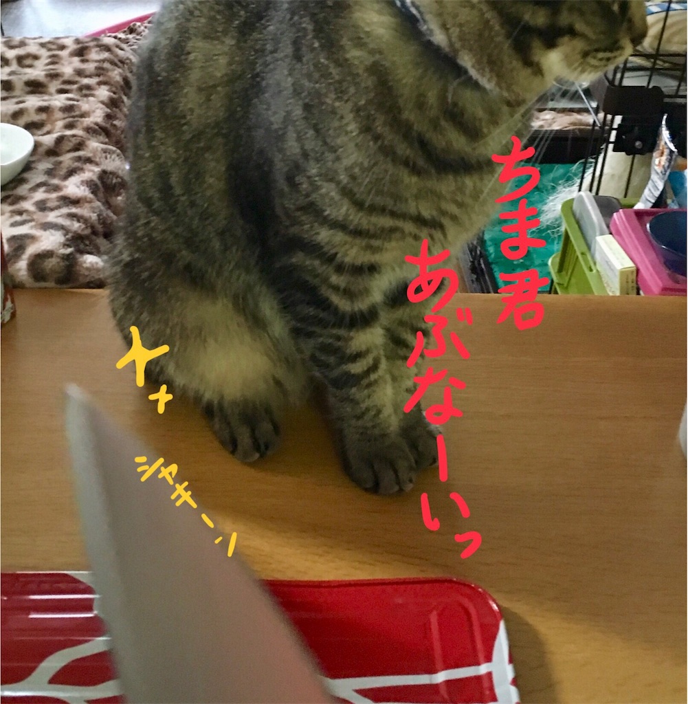 f:id:munazouchan48:20171008111826j:image