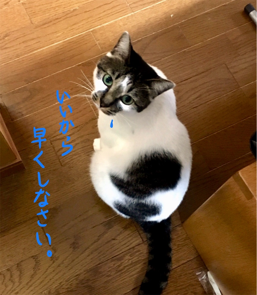 f:id:munazouchan48:20171008111910j:image