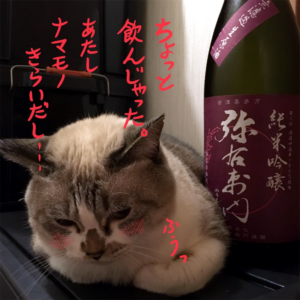 f:id:munazouchan48:20171008113131j:image