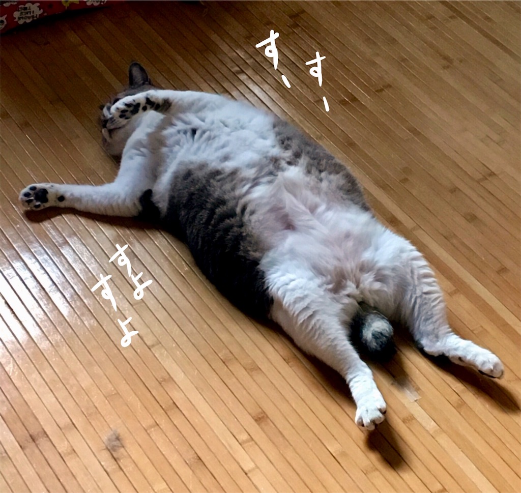 f:id:munazouchan48:20171012144813j:image f:id:munazouchan48:20171012144813j:image