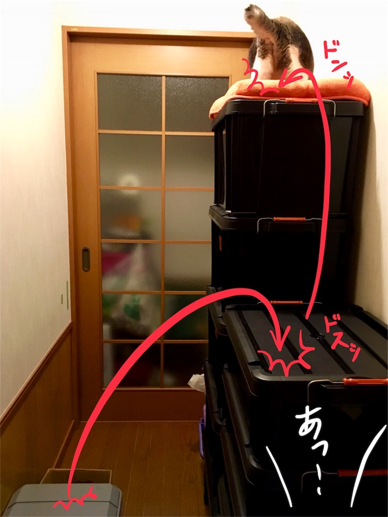 f:id:munazouchan48:20171013102732j:image f:id:munazouchan48:20171013102732j:image