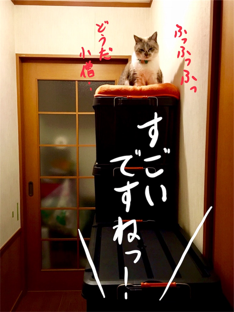 f:id:munazouchan48:20171013102802j:image f:id:munazouchan48:20171013102802j:image