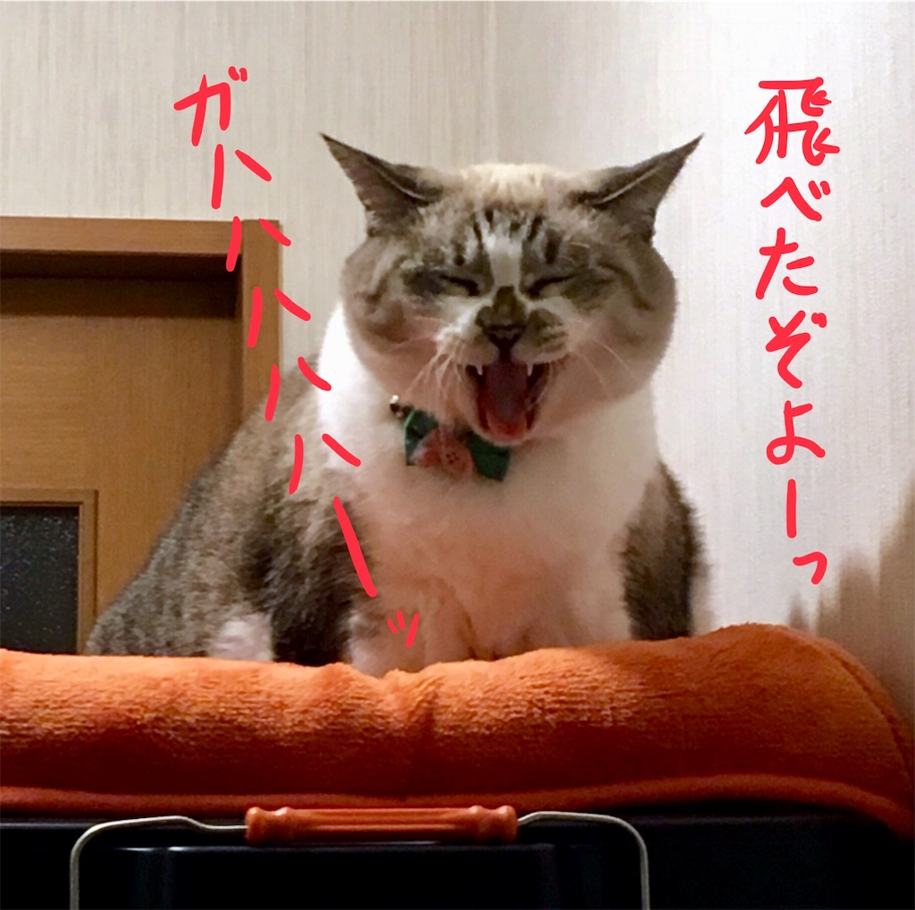 f:id:munazouchan48:20171013102828j:image f:id:munazouchan48:20171013102828j:image