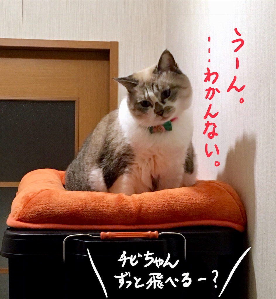 f:id:munazouchan48:20171013102838j:image f:id:munazouchan48:20171013102838j:image