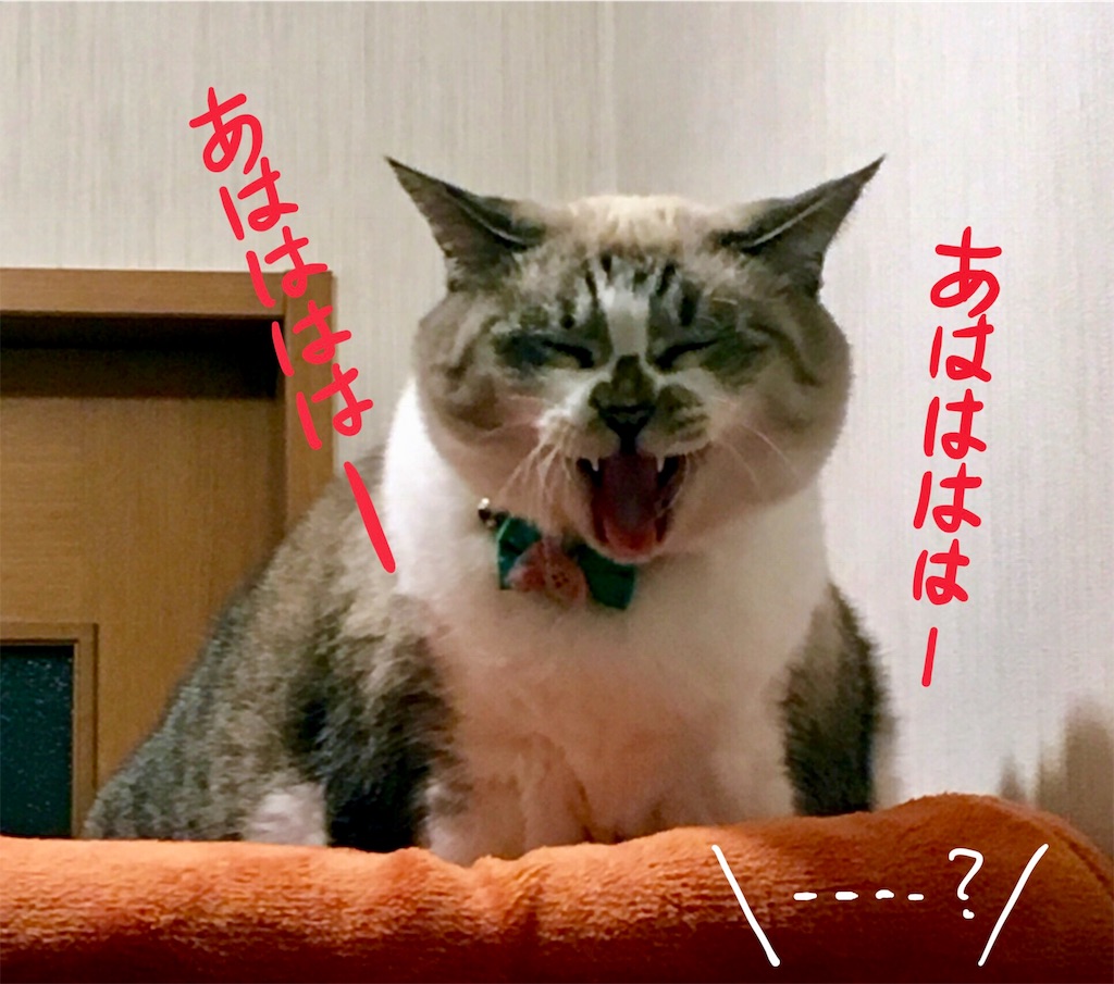 f:id:munazouchan48:20171013160302j:image f:id:munazouchan48:20171013160302j:image