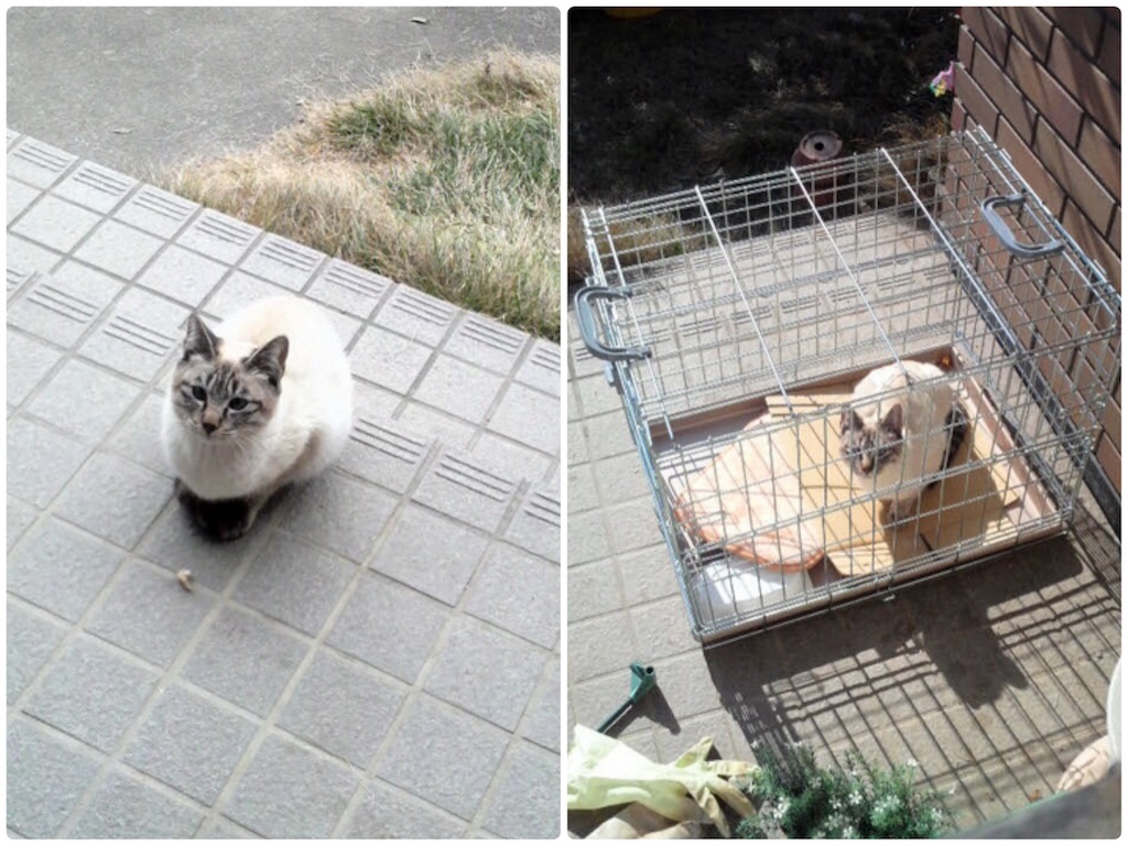 f:id:munazouchan48:20171014123935j:image f:id:munazouchan48:20171014123935j:image