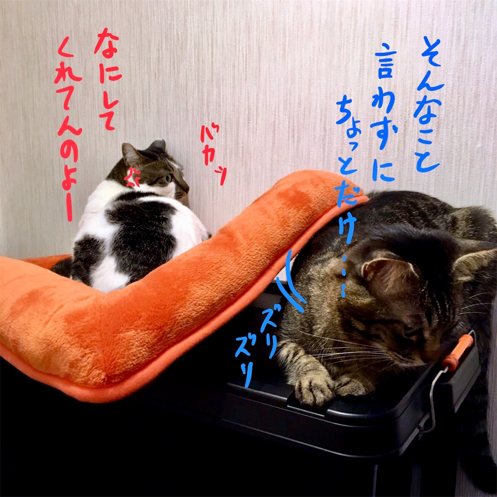 f:id:munazouchan48:20171014180921j:image f:id:munazouchan48:20171014180921j:image