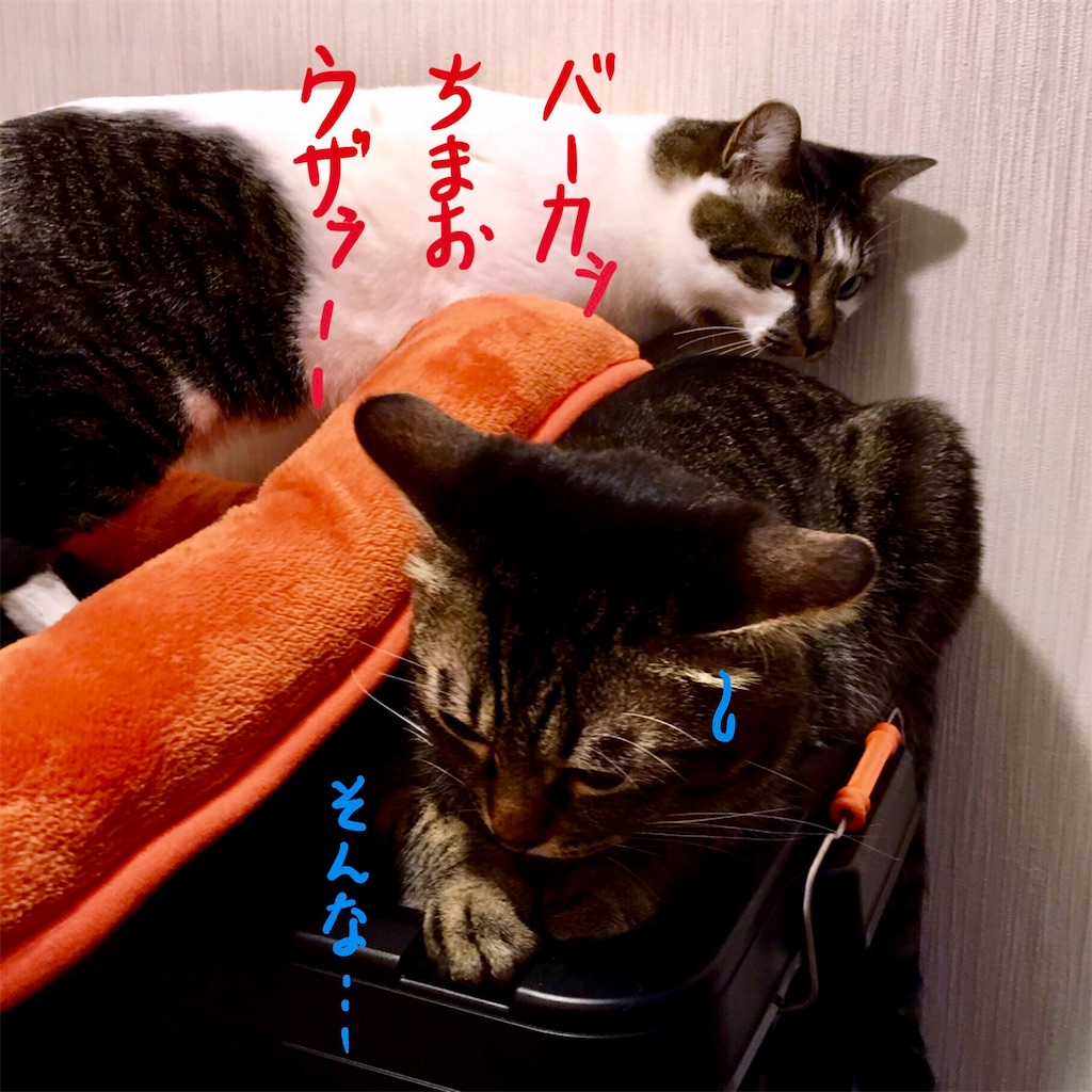 f:id:munazouchan48:20171014180937j:image f:id:munazouchan48:20171014180937j:image