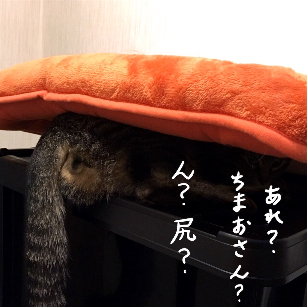 f:id:munazouchan48:20171014181006j:image f:id:munazouchan48:20171014181006j:image