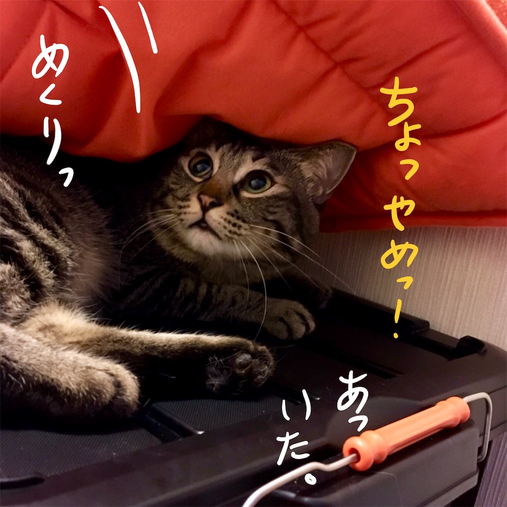 f:id:munazouchan48:20171014181026j:image f:id:munazouchan48:20171014181026j:image