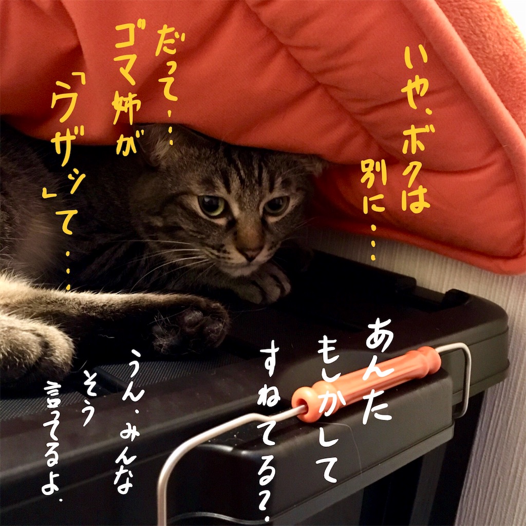 f:id:munazouchan48:20171014181050j:image f:id:munazouchan48:20171014181050j:image