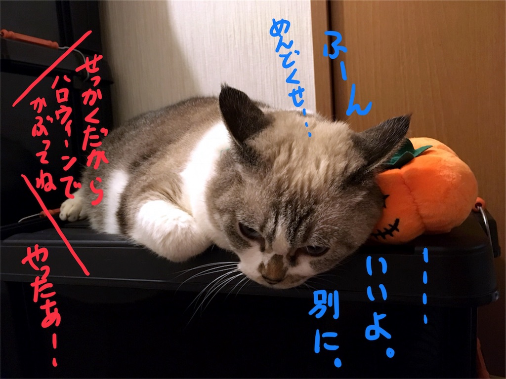 f:id:munazouchan48:20171019121828j:image