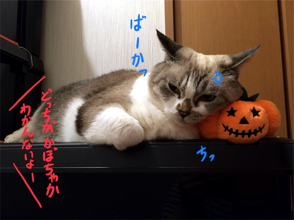 f:id:munazouchan48:20171019151214j:image